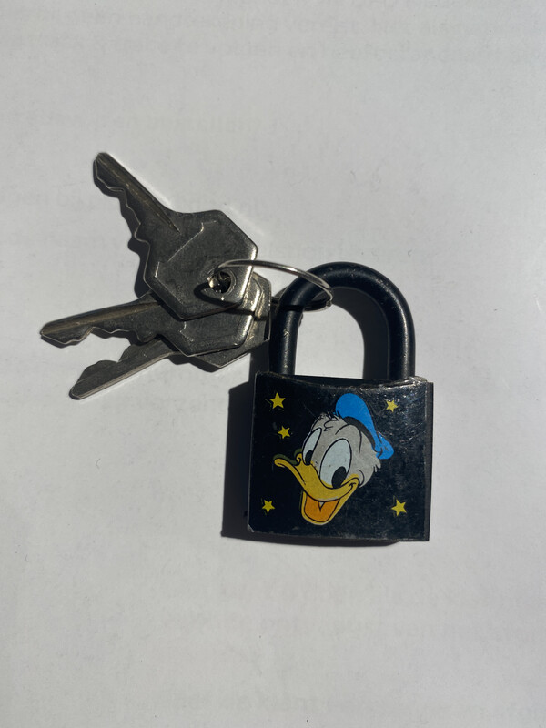 Disney Kinder Fietsslot