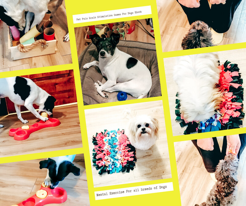 E-book - Brain Stimulation Games for Dogs