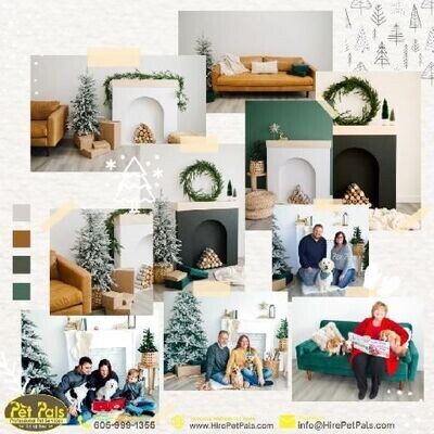 2023 Pet Pals Styled Studio Holiday Mini Session