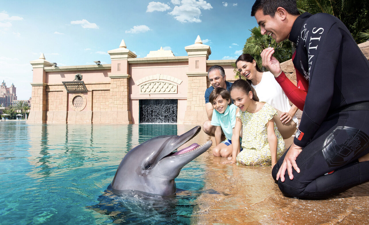 DOLPHIN MEET AND GREET 795 AED