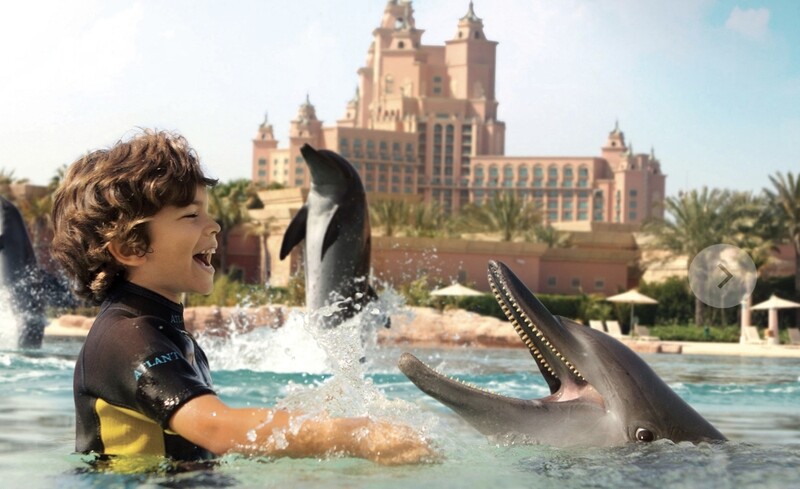 DOLPHIN DIP AND PLAY 895 AED