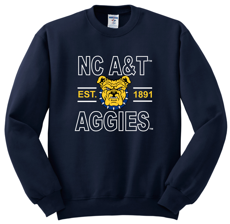 Navy Sweatshirt