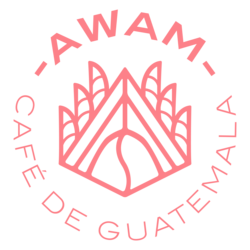 Awam Café Shop