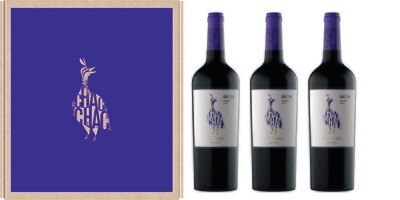 E. CHAC CHAC MALBEC 3x750cc