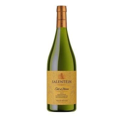 SALENTEIN RVA. CORTE DE BLANCAS x750cc