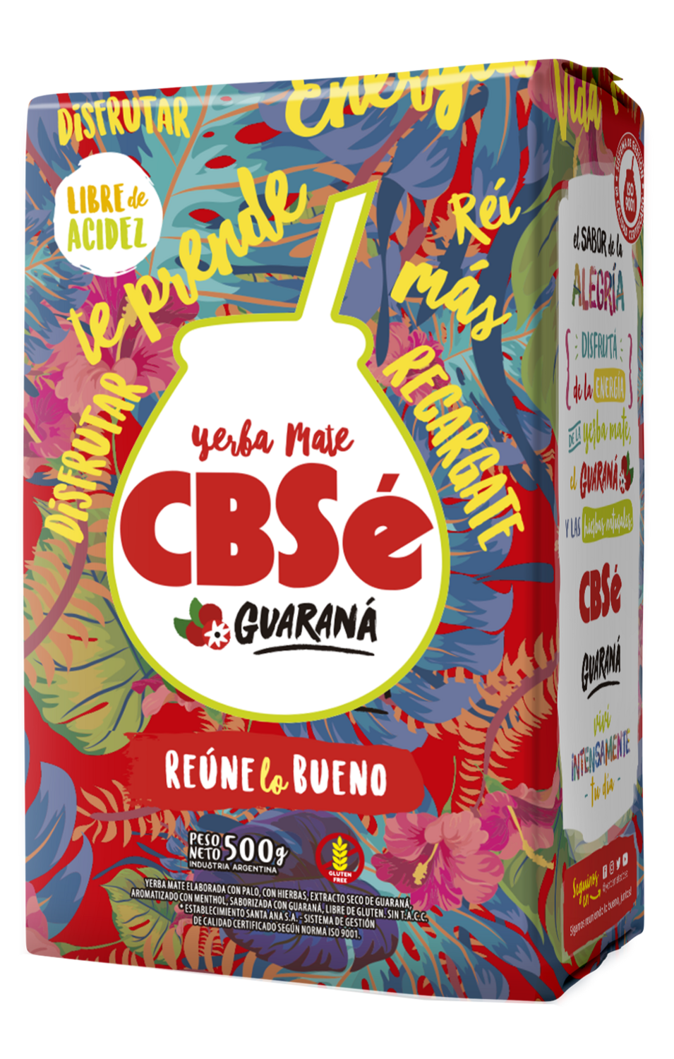 YERBA CBSE GUARANA x500gr