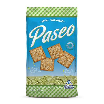 GALLETITAS PASEO SALVADO x300gr