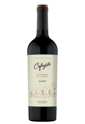 CAFAYATE TERRIOR DE ALTURA MALBEC x750cc