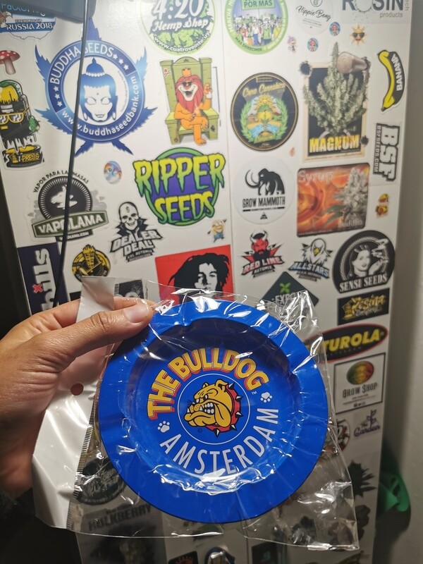Cenizeros Bulldog