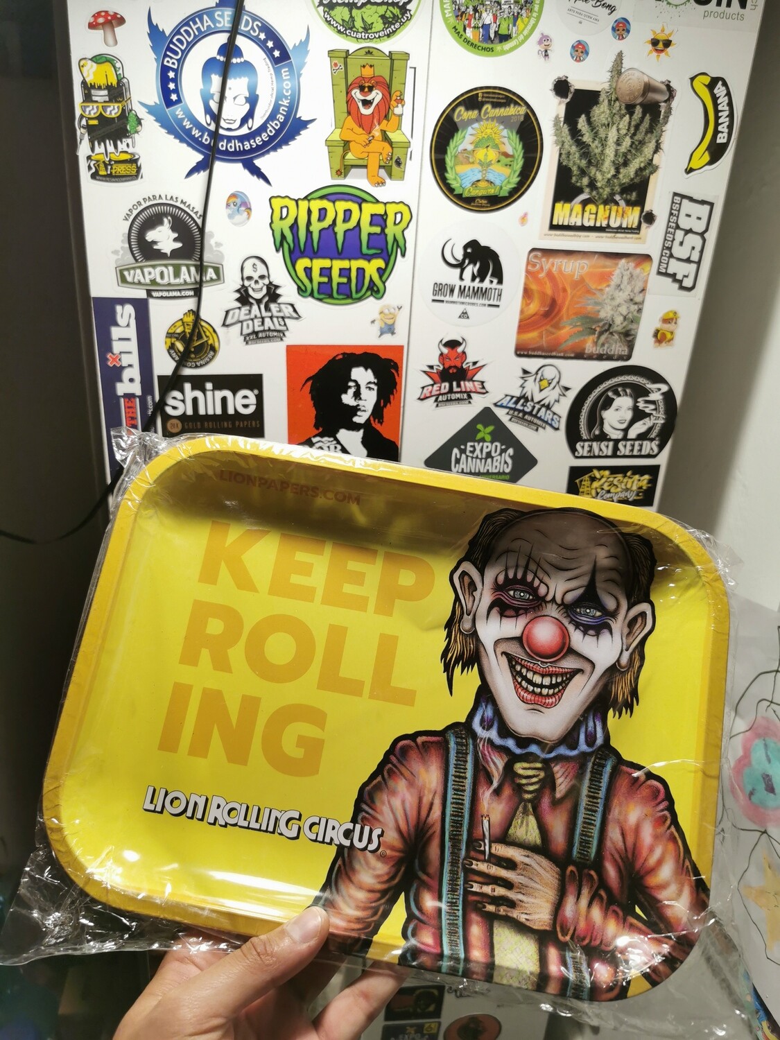 Bandejas Lion Rolling Circus XXL