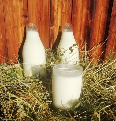 Rohmilch - Bio