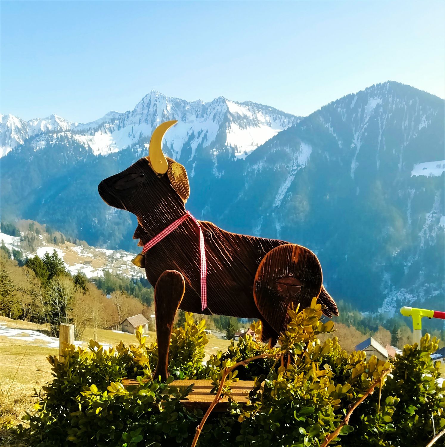 Fleischpaket vom Bio-KITZ