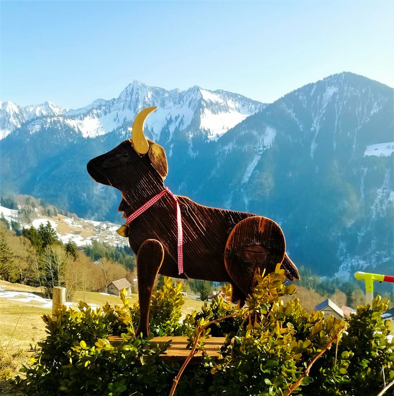 Fleischpaket vom Bio-KITZ