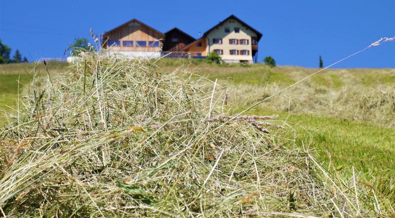 Fleischpaket vom Bio-MILCHKALB