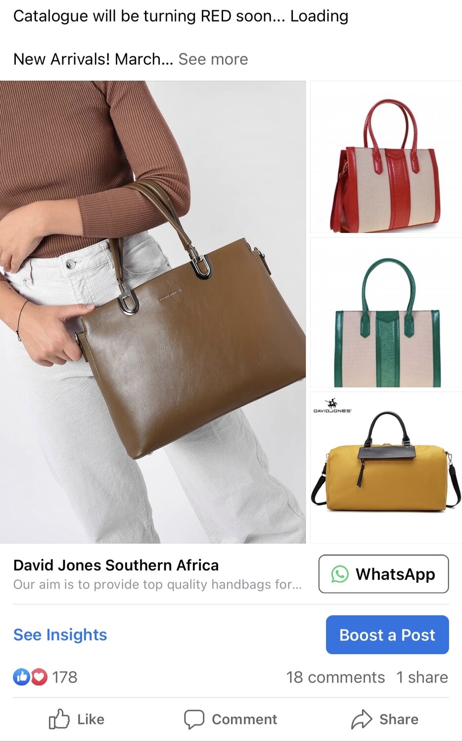 David Jones Handbags breaking the internet!!