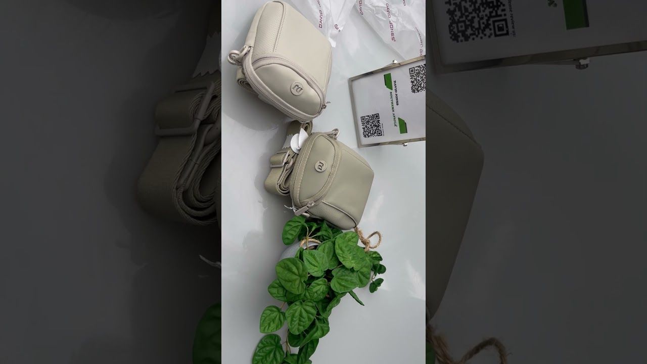 Video - David Jones Pouch Bag