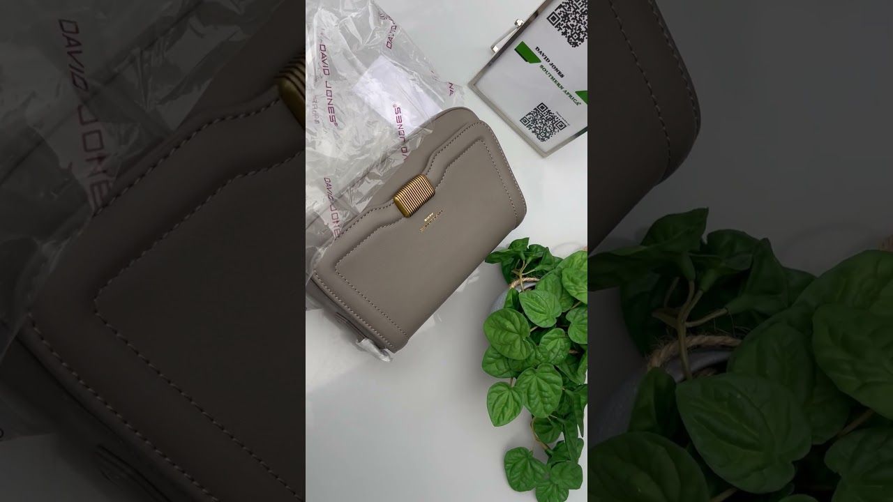 Video - David Jones Elephant Color Handbag