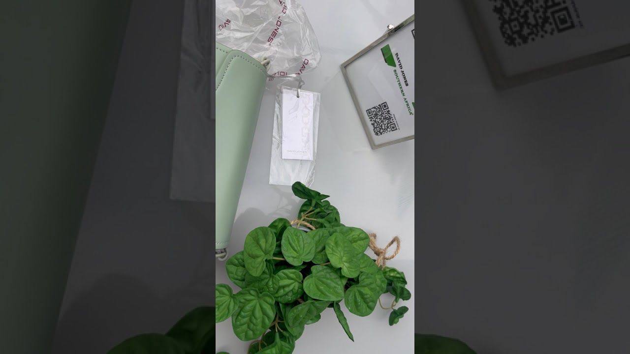 Video - David Jones Porcelain Green Handbag