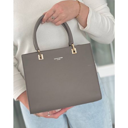 David Jones Taupe Handbag DJ576D