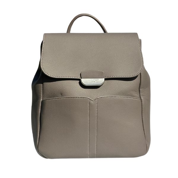 David Jones Taupe Backpack DJ569D