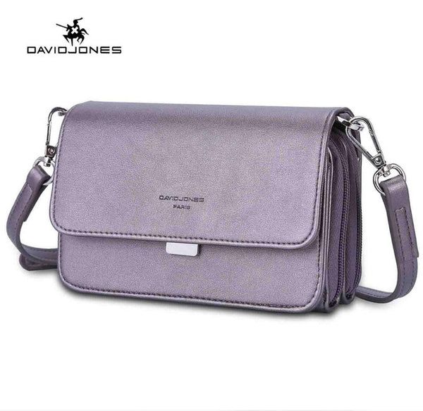 David Jones Silver Handbag DJ221A