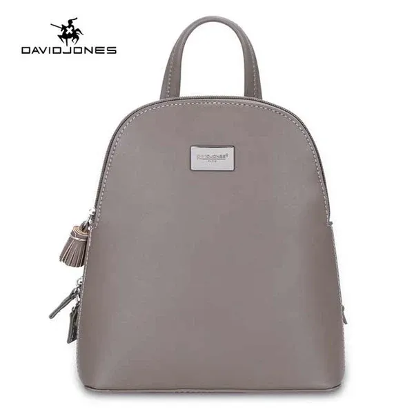 David Jones Gray Backpack DJ200A
