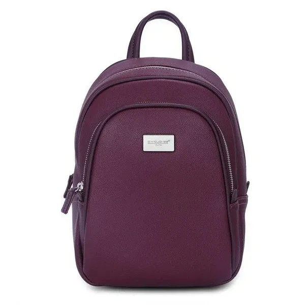 David Jones Burgundy Backpack DJ211A