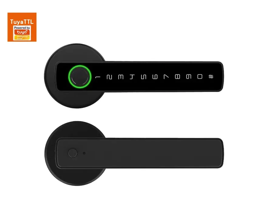 Biometric Smart Door Lock - F011