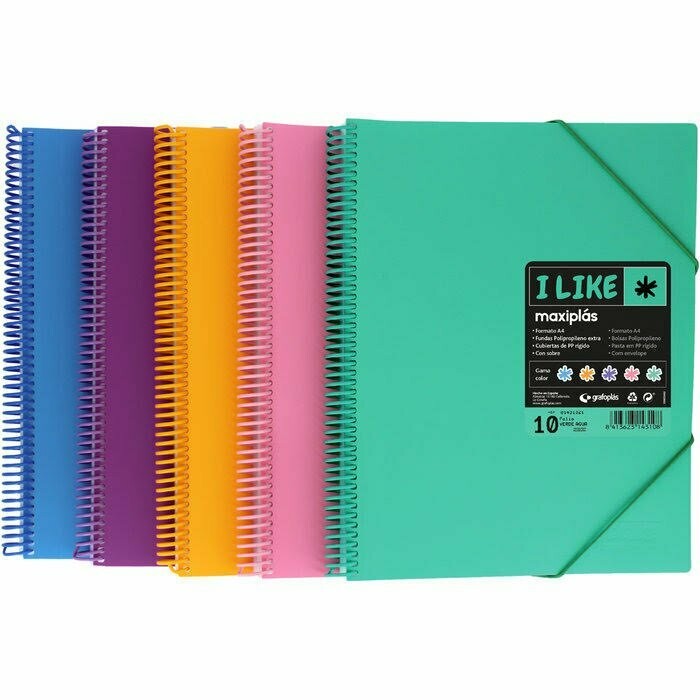 Carpeta de 50 fundas con anillas