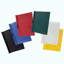 Carpeta dossier con clip