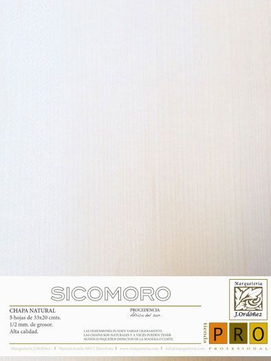 Sicomoro