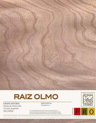 Raíz olmo