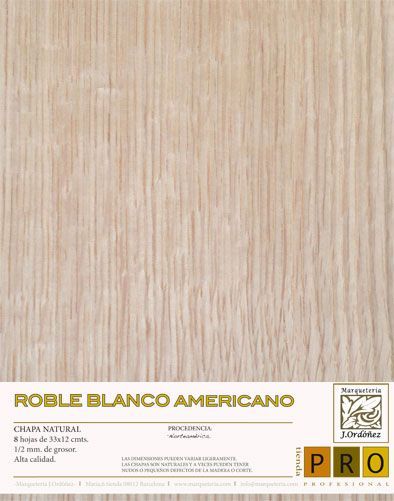Roure blanc americà