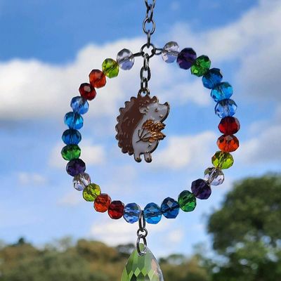 Hedgehog Sun Catcher
