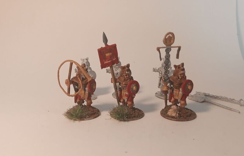 Rom2  Standard bearers