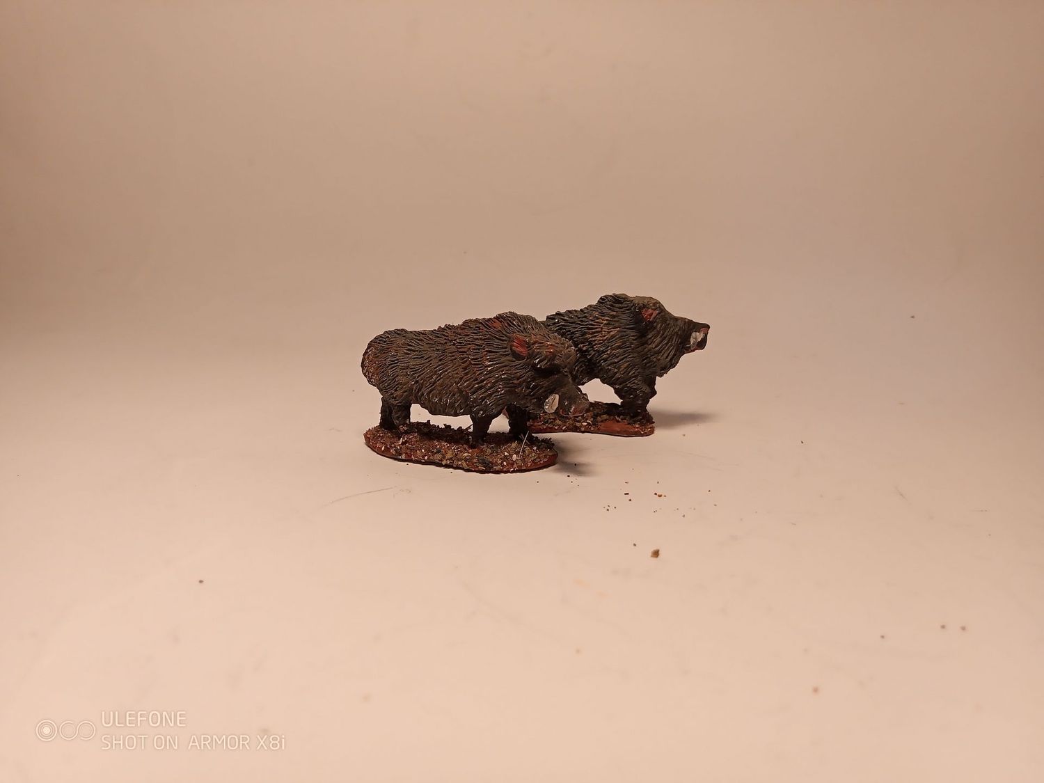 PD4055 Wild Boars