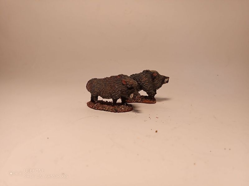 PD4055 Wild Boars