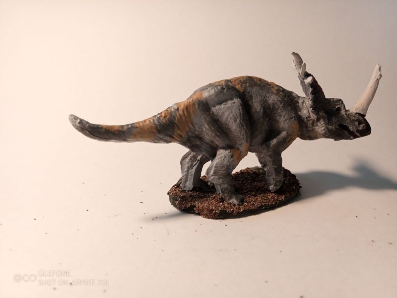 PD0035 Adult Styracosaurus