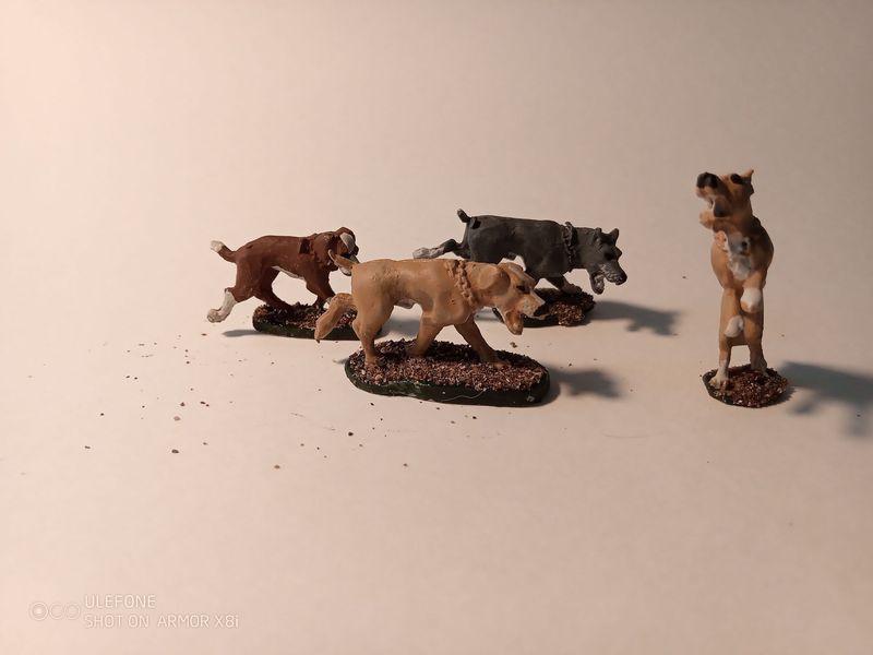 PD4054 Guard dogs / dogs