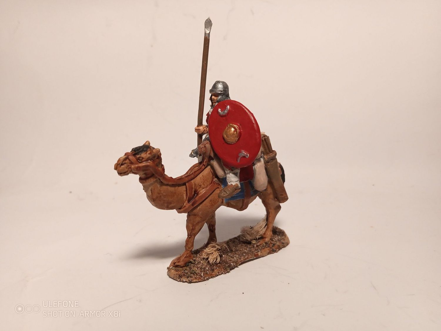 Romc1 Roman camel corps