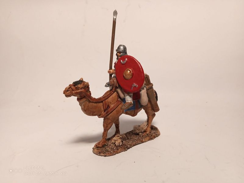 Romc1 Roman camel corps