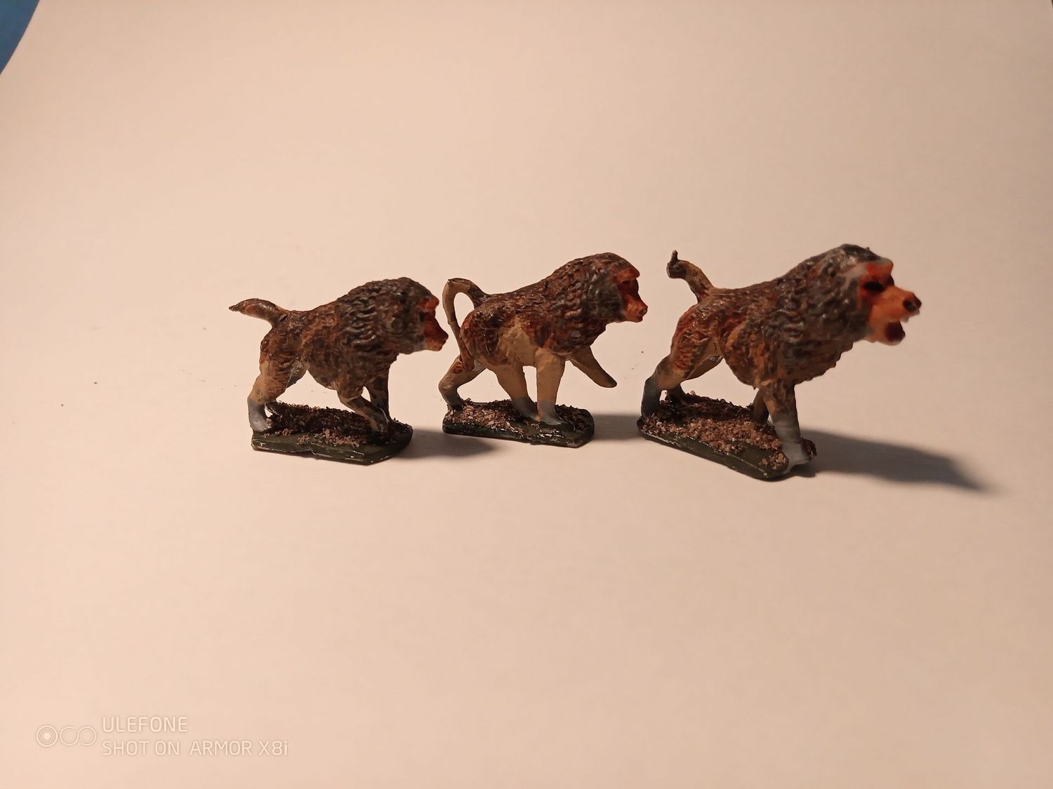 Kongo35 Baboons