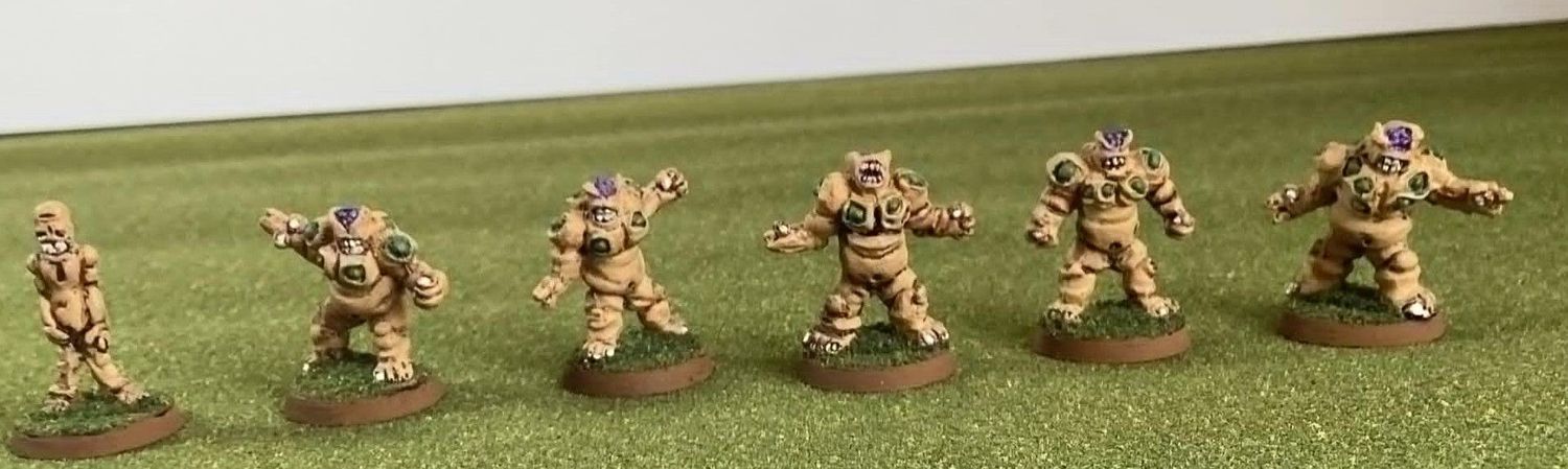 CG4 Bloated Infected