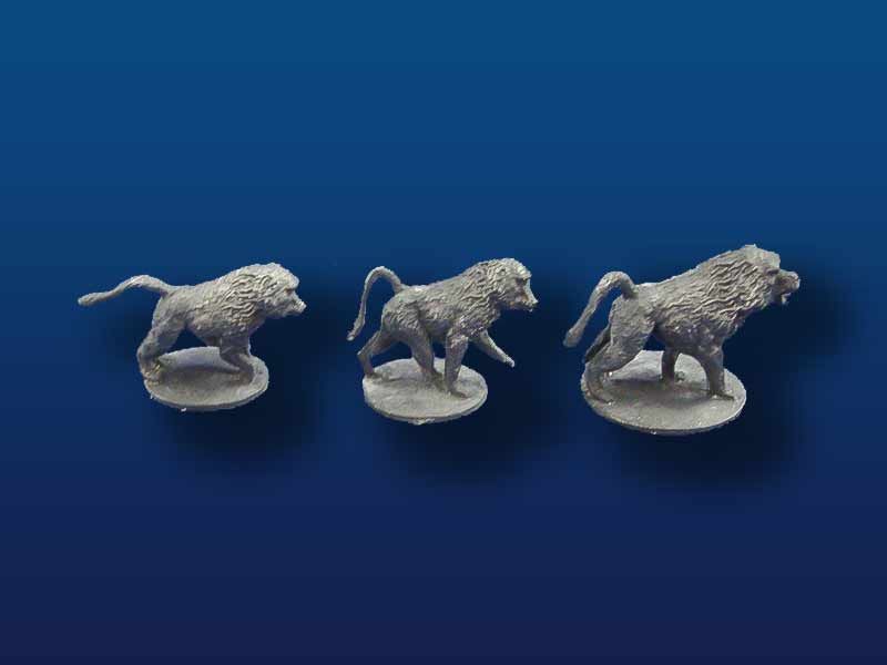 Kongo35 Baboons
