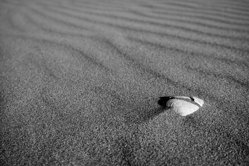 Understanding Black & White Photography