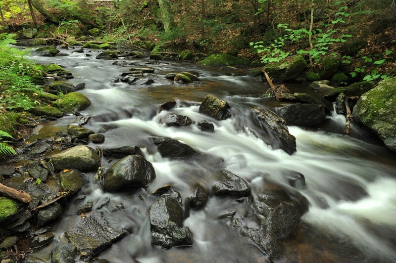 Nature Photography Explored