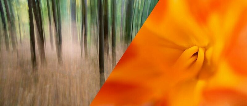 Understanding the Creative Power of Shutter Speeds & Apertures