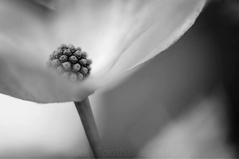 Editing in Black & White