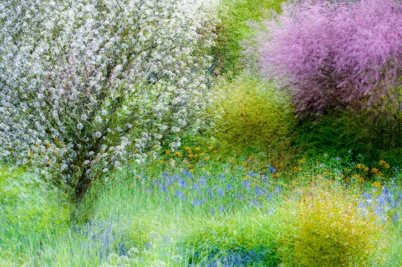 Special Guest Series- Impressionistic Photography with Charles Needle