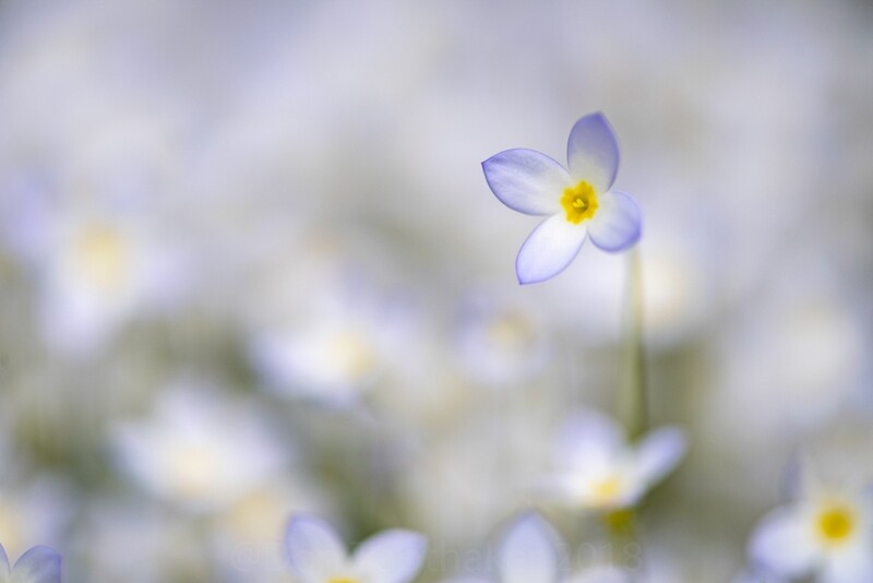 Depth- Using Apertures Effectively